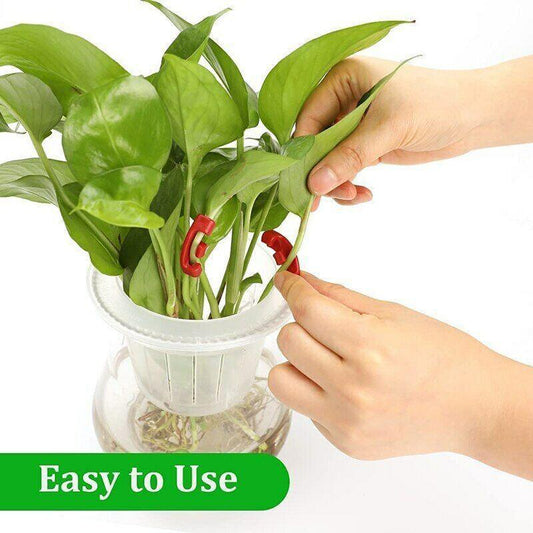 90° Plant Bender Clips (30 Pack) – Snap-On LST Training for Bigger Yields - Seed World