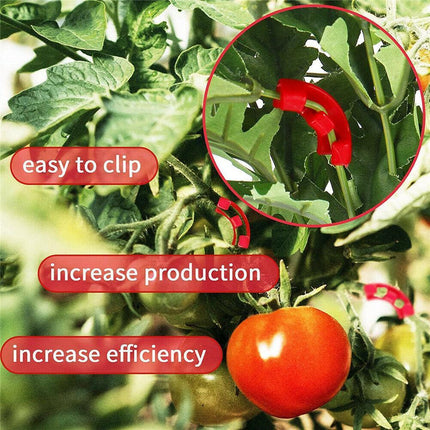 90° Plant Bender Clips (30 Pack) – Snap-On LST Training for Bigger Yields - Seed World