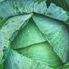 250