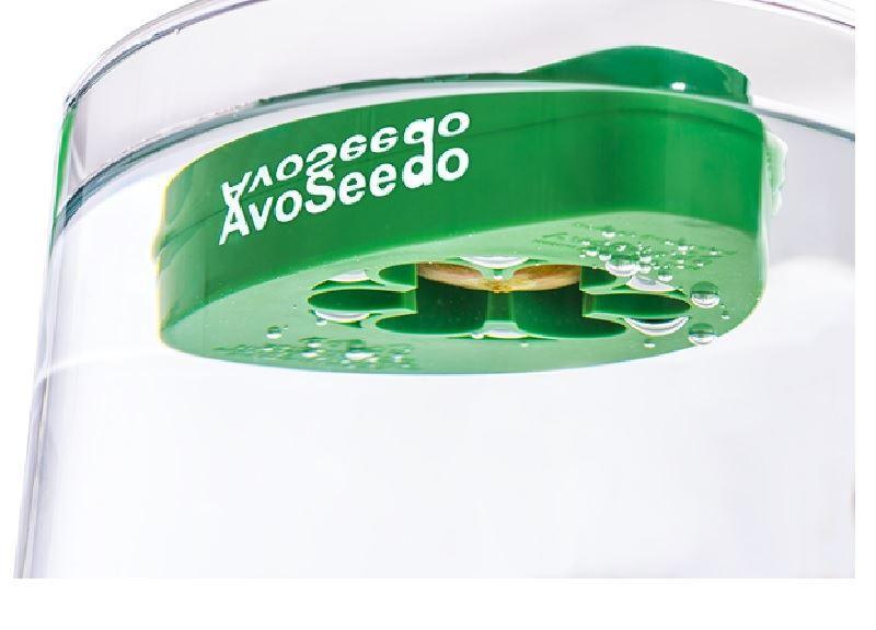 AvoSeedo™ | Avocado Seed Holder - Tree Growing Kit - Seed World