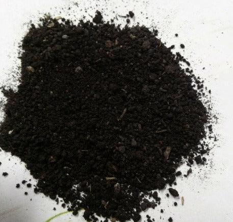 Best Organic Worm Castings Odorless Soil Enhancer for All Plants - 5 lbs - Seed World