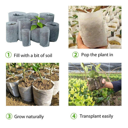 Biodegradable Plant Grow Bags – Non-Woven Fabric Nursery Pots for Seedlings - Seed World