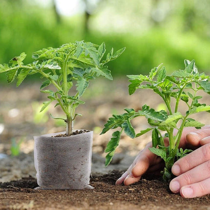 Biodegradable Plant Grow Bags – Non-Woven Fabric Nursery Pots for Seedlings - Seed World