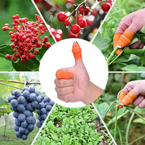 Finger Thumb Knife | Garden Plucking Device Cutting Vegetable Agricultural - Seed World