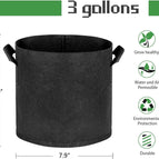 3 Gallon