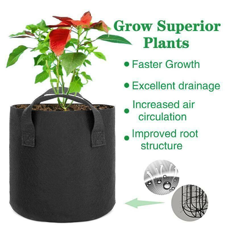 Garden Grow Bags | 6 Pieces - Seed World