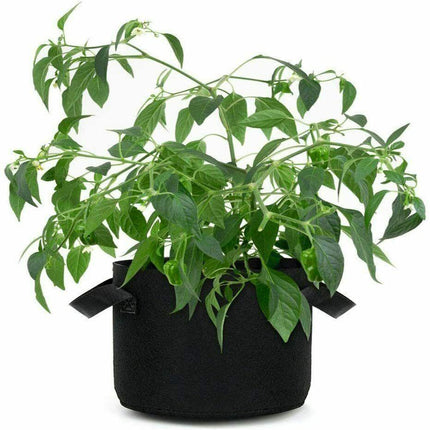 Garden Grow Bags | 6 Pieces - Seed World