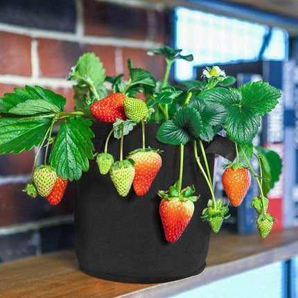 Garden Grow Bags | 6 Pieces - Seed World
