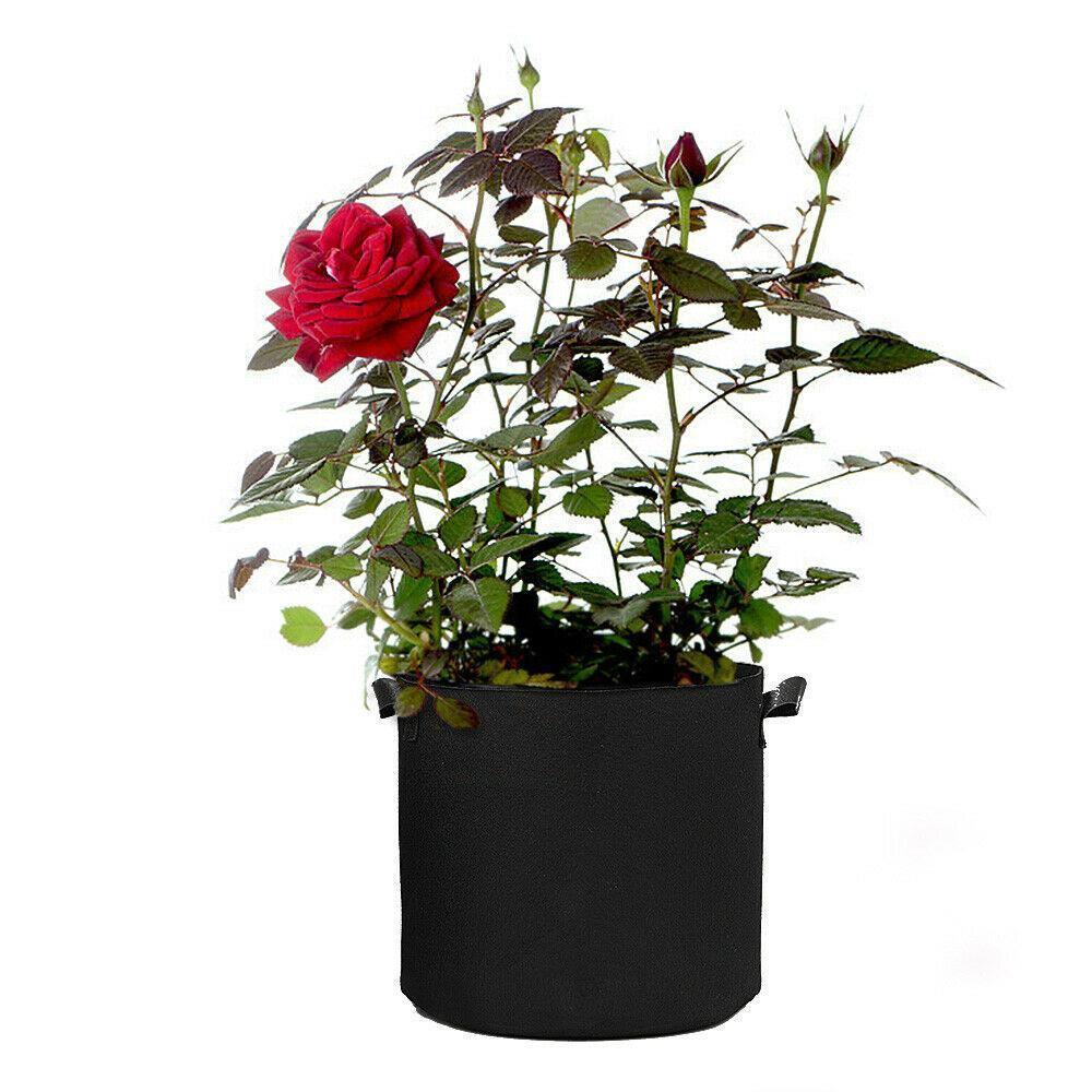 Garden Grow Bags | 6 Pieces - Seed World