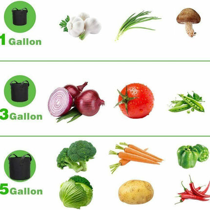 Garden Grow Bags | 6 Pieces - Seed World