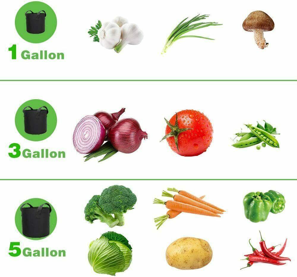 Garden Grow Bags | 6 Pieces - Seed World