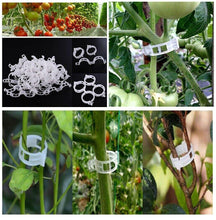 100 Garden Plant Support Clips - Seed World