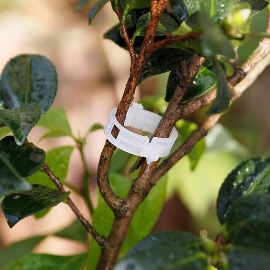100 Garden Plant Support Clips - Seed World