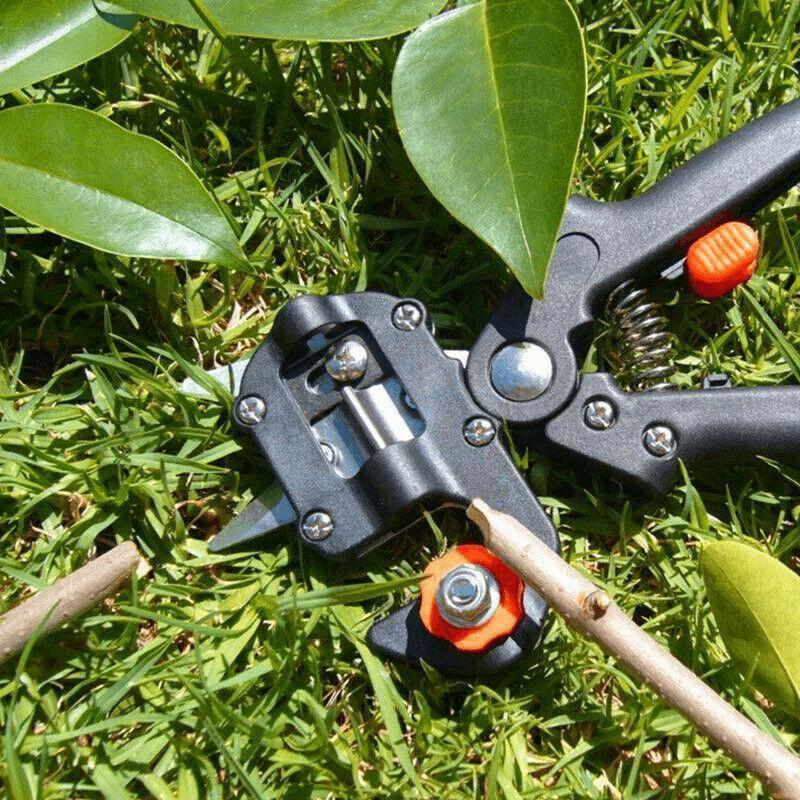 Garden Tree Grafting Pruning Shears Snip Cutting Tool Kit - Seed World
