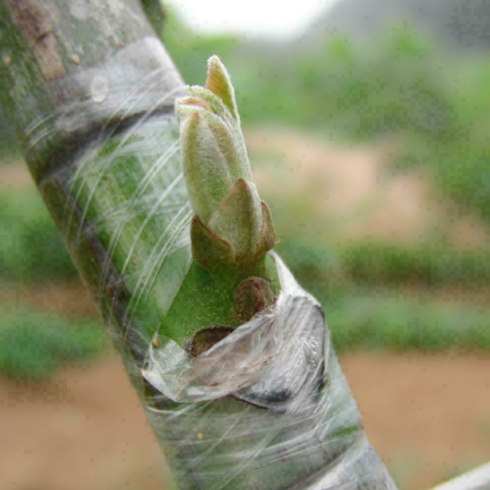 Grafting Tape Garden Tree Seedling Self-adhesive Stretchable Pruning Parafilm - Seed World
