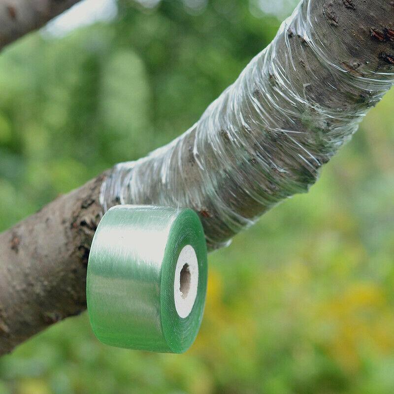 Grafting Tape Garden Tree Seedling Self-adhesive Stretchable Pruning P –  Seed World