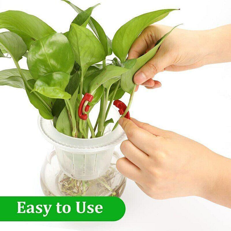 	Hand bends pepper stem with 90° plant bender clip