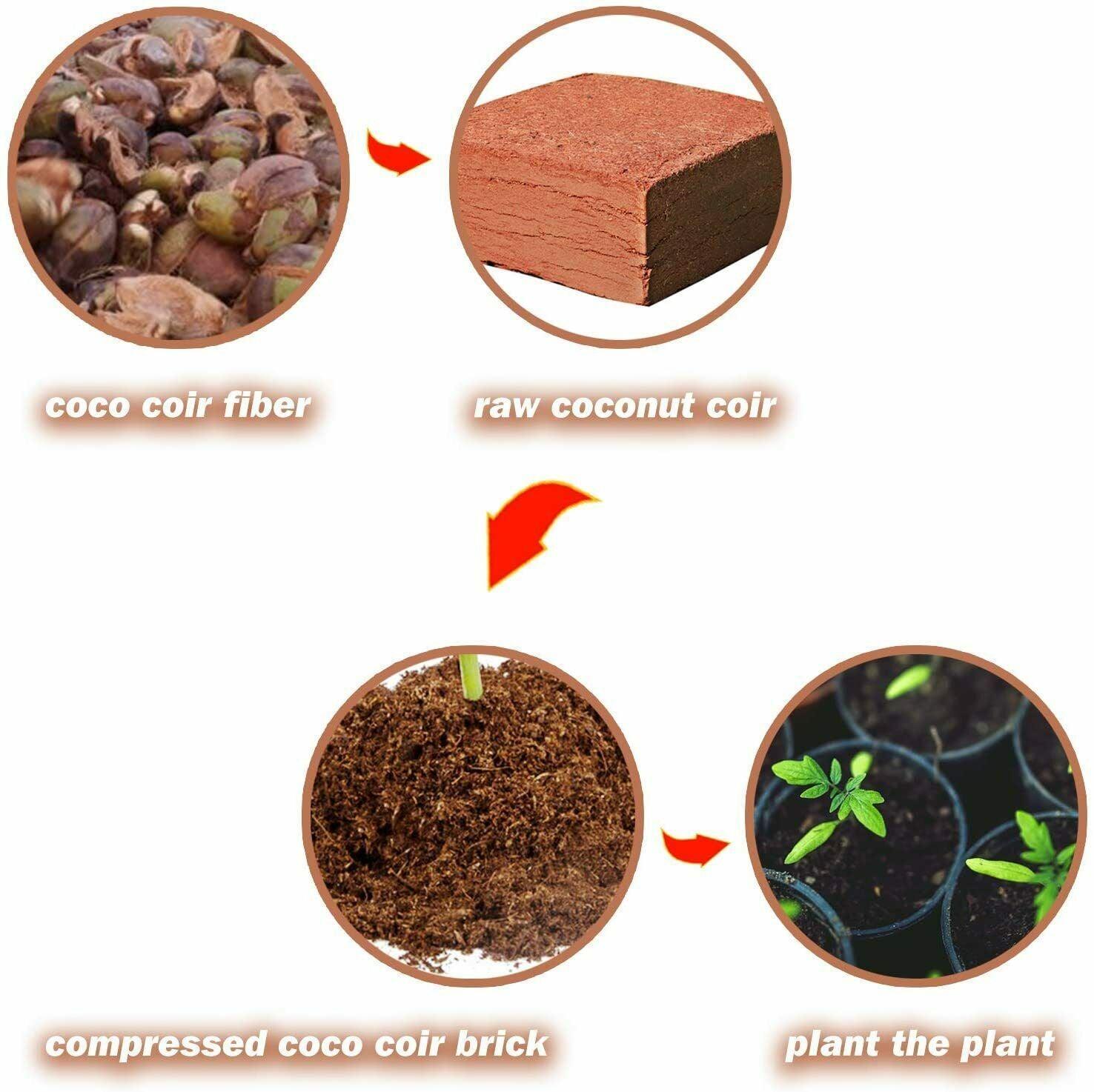Organic Coco Coir Bricks - Seed World