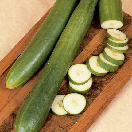Organic Japanese Tokiwa Tokyo Cucumber Seeds - Seed World