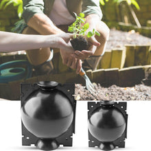 Plant Root Growing Box (2 Pieces) - Seed World