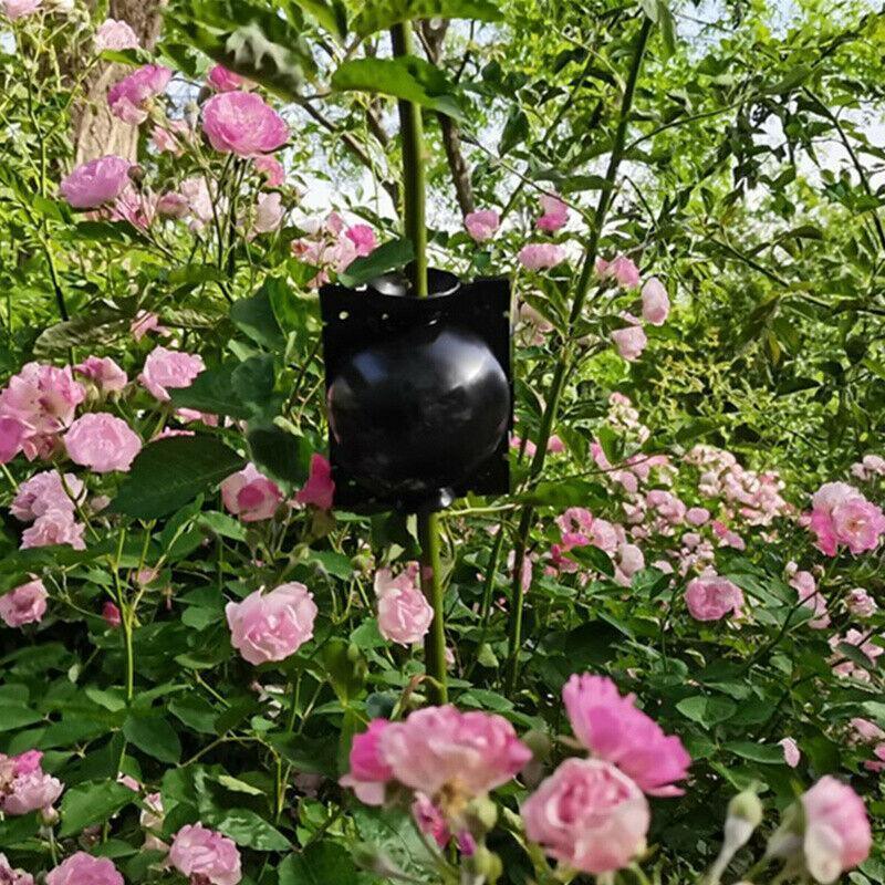 Plant Root Growing Box (2 Pieces) - Seed World