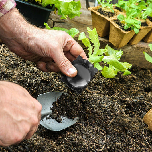 Plant Root Growing Box (2 Pieces) - Seed World