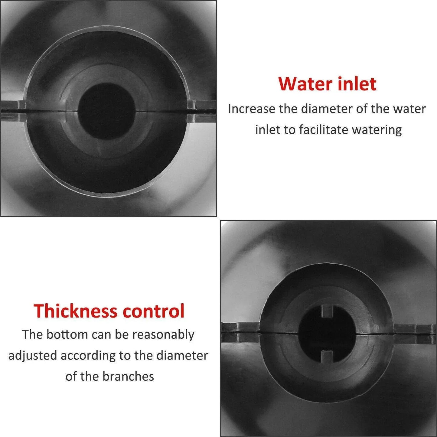 Plant Root Growing Box (2 Pieces) - Seed World