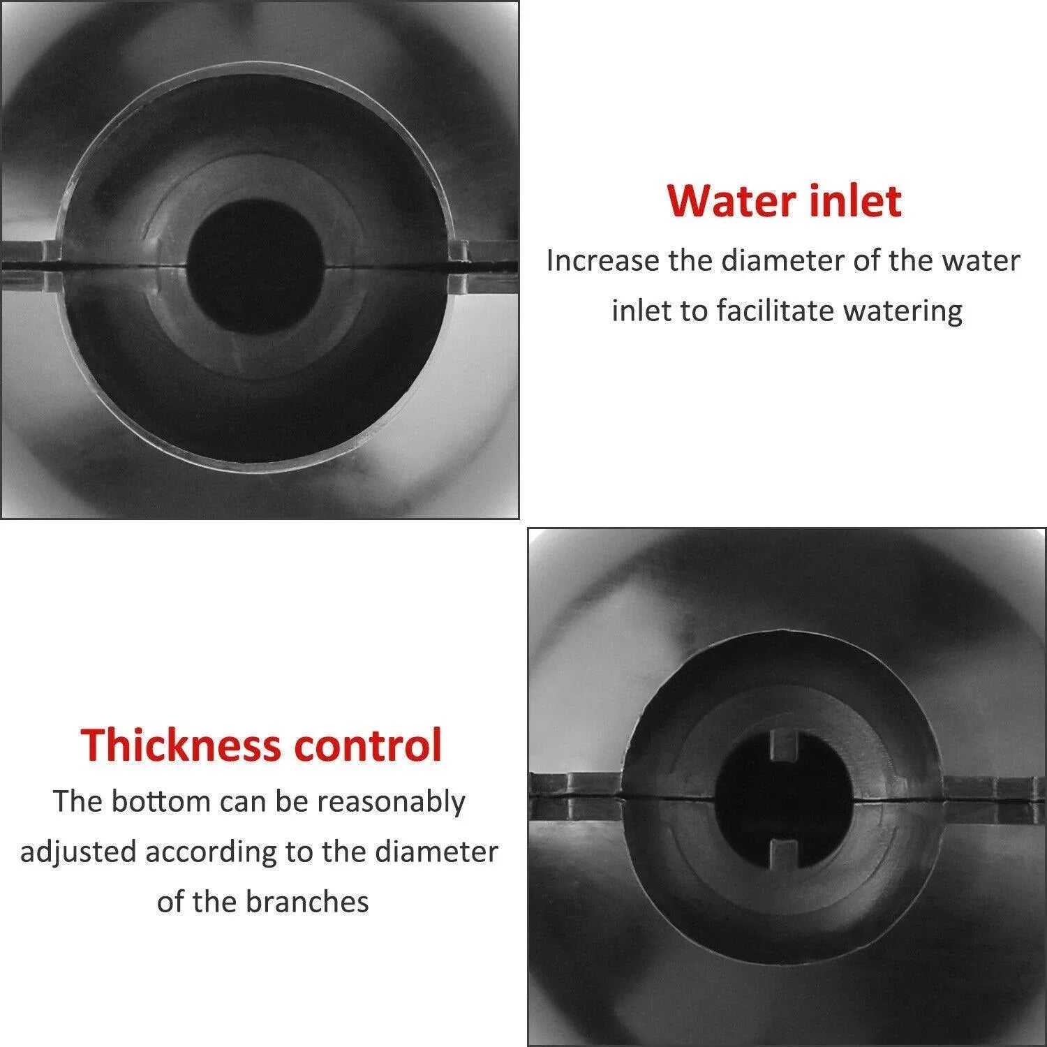 Plant Root Growing Box (2 Pieces) - Seed World