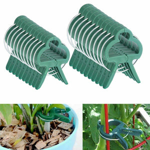 Reusable Large Plant & Garden Clips Support Tomato Vegetable Trellis Twine Ties - Seed World