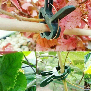 Reusable Large Plant & Garden Clips Support Tomato Vegetable Trellis Twine Ties - Seed World