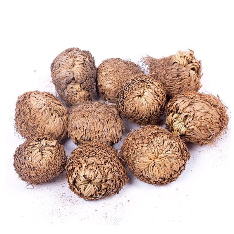 Rose of Jericho - Seed World