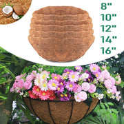 Round Hanging Basket Coco Liner Coconut Fiber Replacement - Seed World