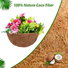 Round Hanging Basket Coco Liner Coconut Fiber Replacement - Seed World