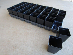 Set of 3 Divided Trays and 96 - 2.5 Inch Square Deep Nursery Pots - Seed World