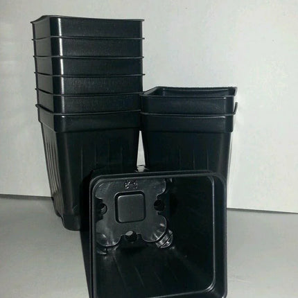 Set of 3 Divided Trays and 96 - 2.5 Inch Square Deep Nursery Pots - Seed World