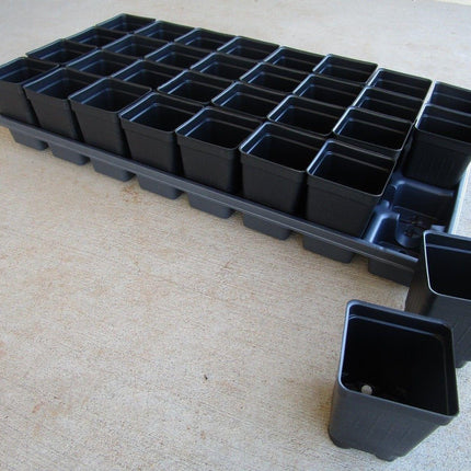 Set of 3 Divided Trays and 96 - 2.5 Inch Square Deep Nursery Pots - Seed World