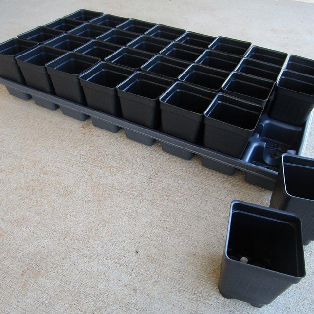 Set of 3 Divided Trays and 96 - 2.5 Inch Square Deep Nursery Pots - Seed World