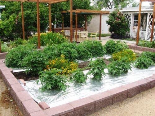 Silver Metallic Plastic Mulch Ground Cover 1.0 mil Embossed 4 ft x 25 ft - Seed World