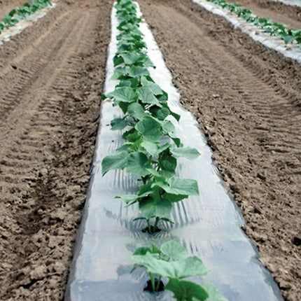 Silver Metallic Plastic Mulch Ground Cover 1.0 mil Embossed 4 ft x 25 ft - Seed World