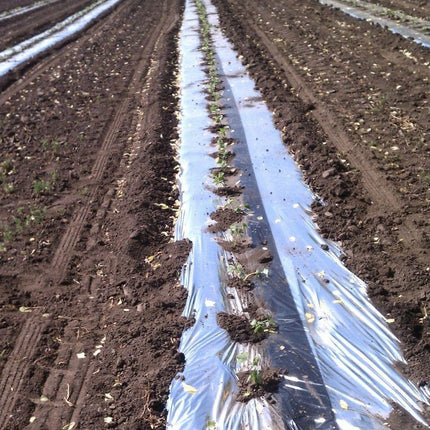 Silver Metallic Plastic Mulch Ground Cover 1.0 mil Embossed 4 ft x 25 ft - Seed World
