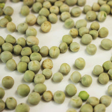 Sprouting Green Pea Seeds - Seed World