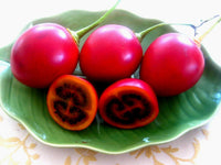 Tamarillo (Tree Tomato) Seeds (Edible, Fast) - Seed World