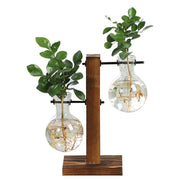 Terrarium Hydroponic Plant Vases - Seed World