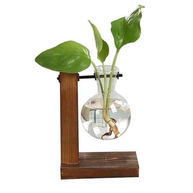 Terrarium Hydroponic Plant Vases - Seed World