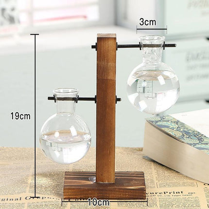 Terrarium Hydroponic Plant Vases - Seed World