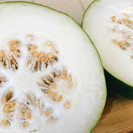 Wax Gourd Seeds (Winter Melon, Ash Gourd) – Benincasa hispida - Seed World