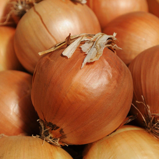 Close-up of Yellow Sweet Spanish onions